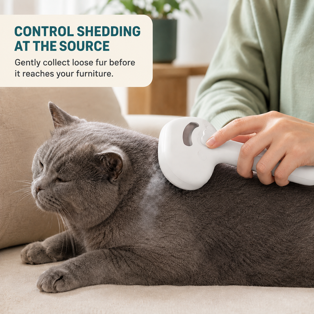 3-Step Cat Hair Control Kit